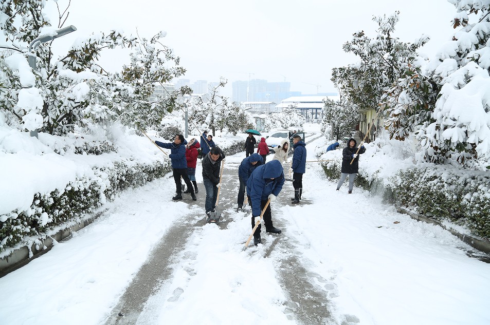 1731051797816795.jpg 1731051797816795.jpg